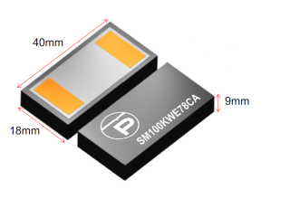 PROTEK DEVICES STELLT VOR: NEUE SERIE SM100KWE78CA